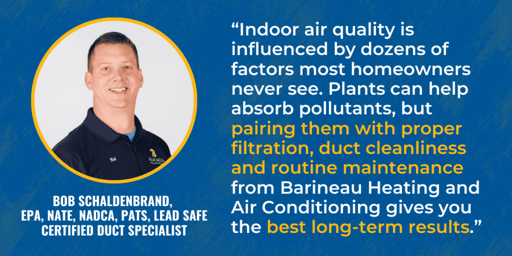 5 Houseplants That Improve Air Quality Barineau Heating and Air Conditioning