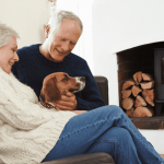 HVAC Maintenance Tips for Pet Owners | Barineau Heating & Air