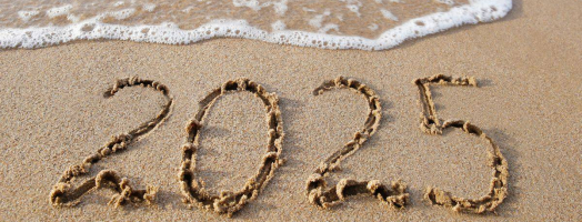 Ring in the New Year with a New Carrier System